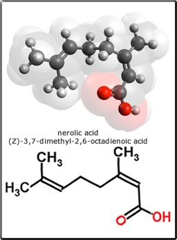 nerolic acid